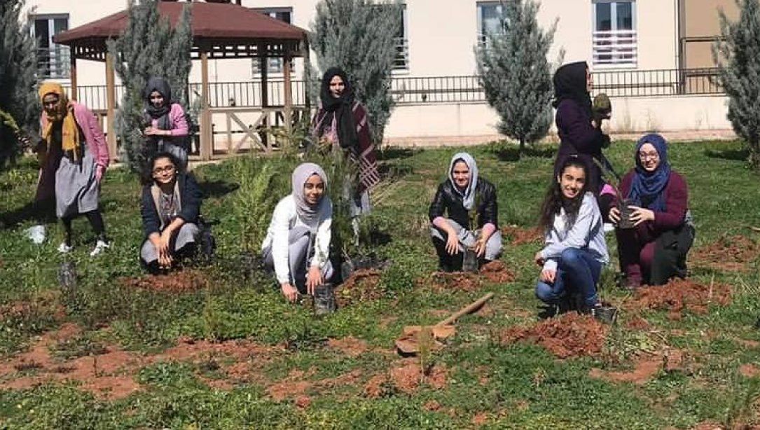 Fatma Zehra Kız Anadolu İmam Hatip Lisesi-Yemyeşil Urfa Projesi