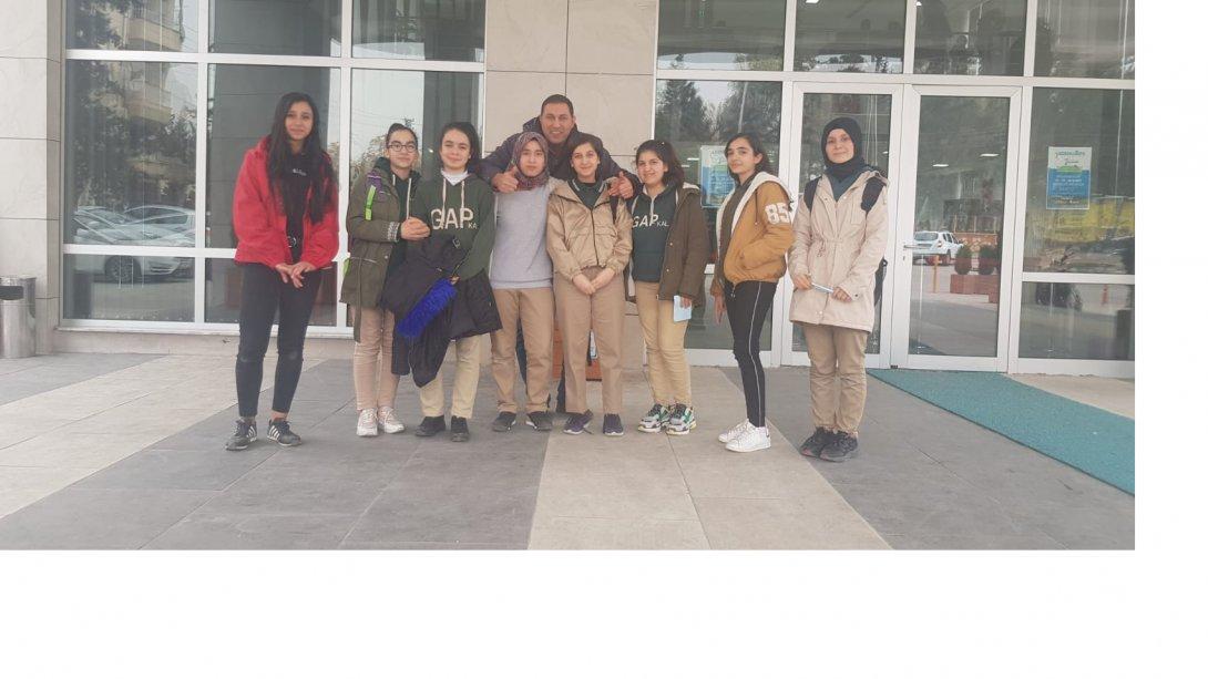 Borsa İstanbul Kız Anadolu Lisesi Genç Kızlarda Satranç Dalında Şanlıurfa Birincisi Oldu.